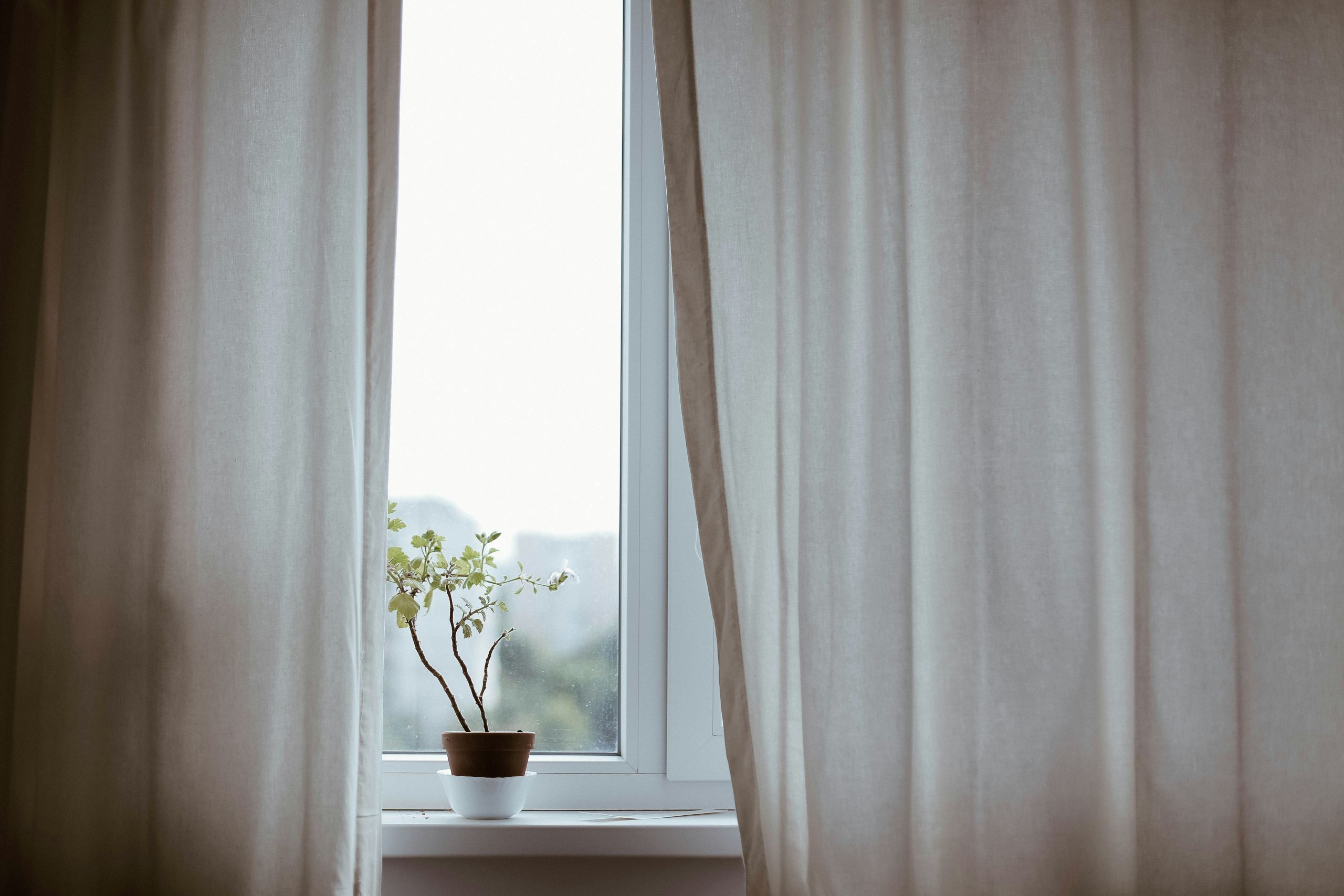 A small potted plant sits on a white windowsill between light brown curtains, with soft daylight coming through the window in the background of this inviting, locally managed home.